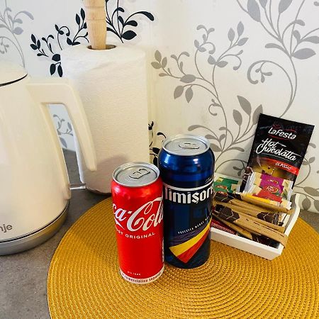 Apartament Raluca - Self Check-In ティミショアラ エクステリア 写真