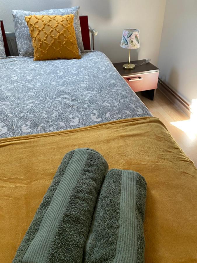 Apartament Raluca - Self Check-In ティミショアラ エクステリア 写真