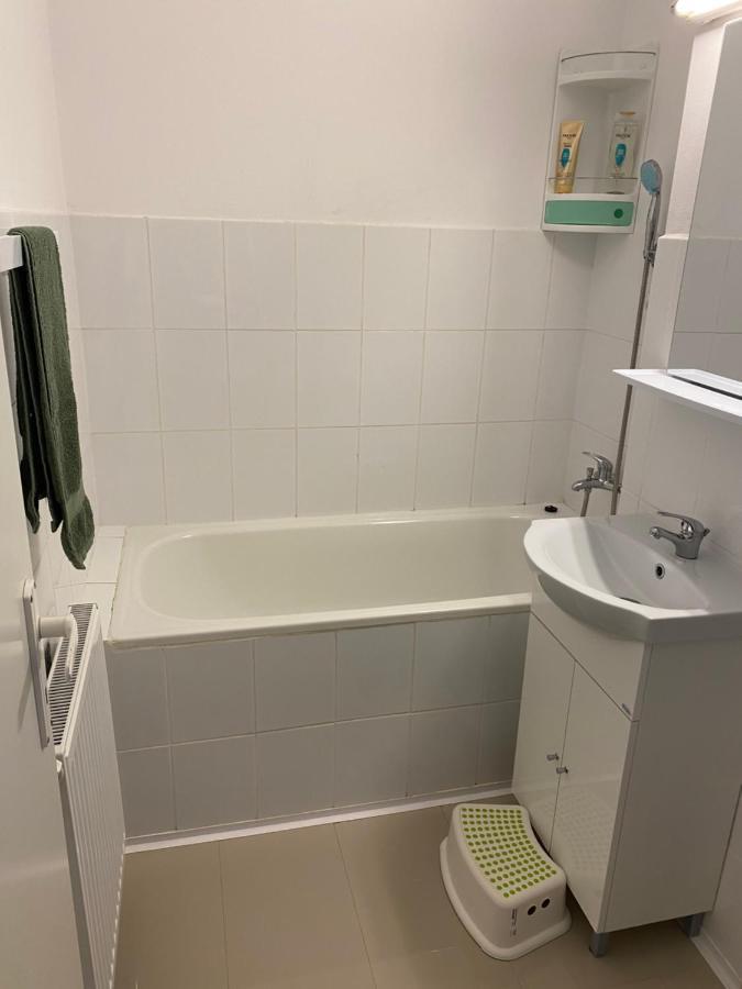 Apartament Raluca - Self Check-In ティミショアラ エクステリア 写真
