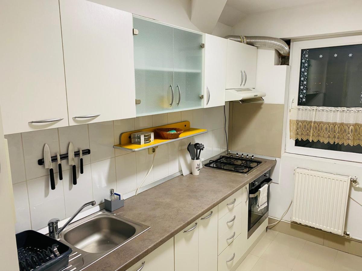 Apartament Raluca - Self Check-In ティミショアラ エクステリア 写真