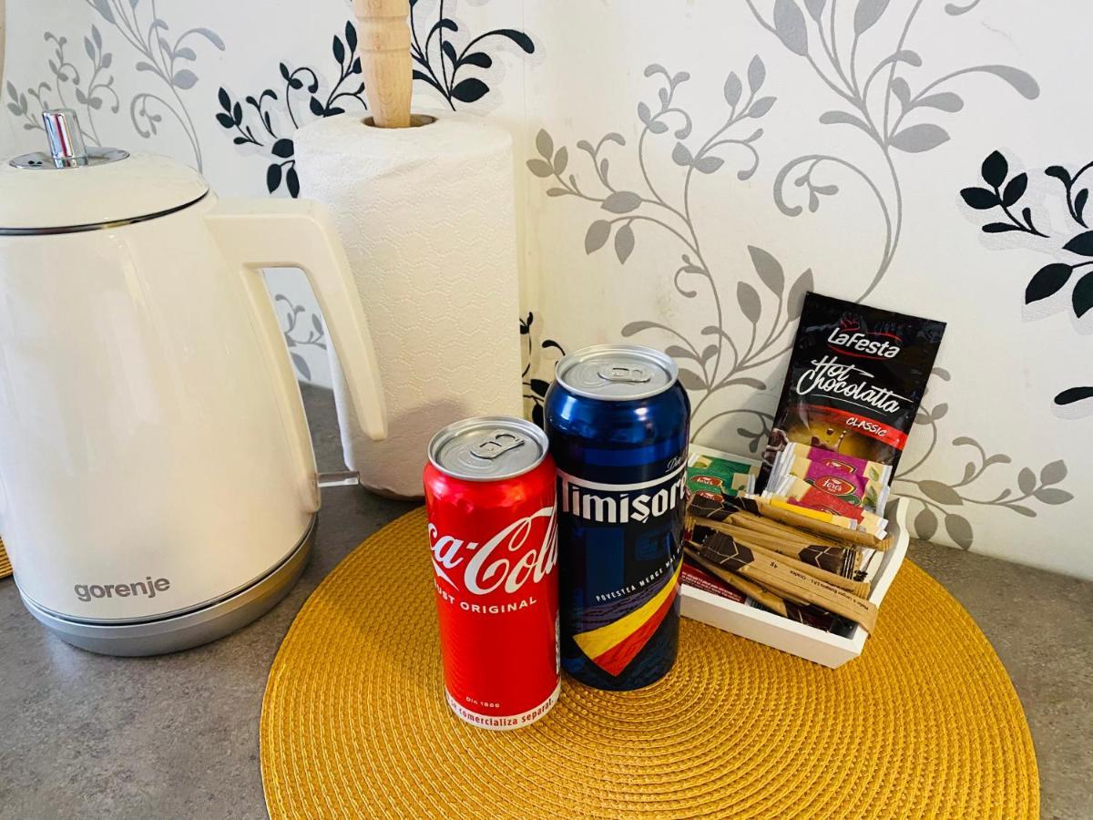 Apartament Raluca - Self Check-In ティミショアラ エクステリア 写真