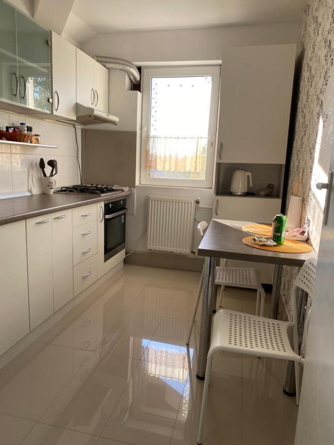 Apartament Raluca - Self Check-In ティミショアラ エクステリア 写真
