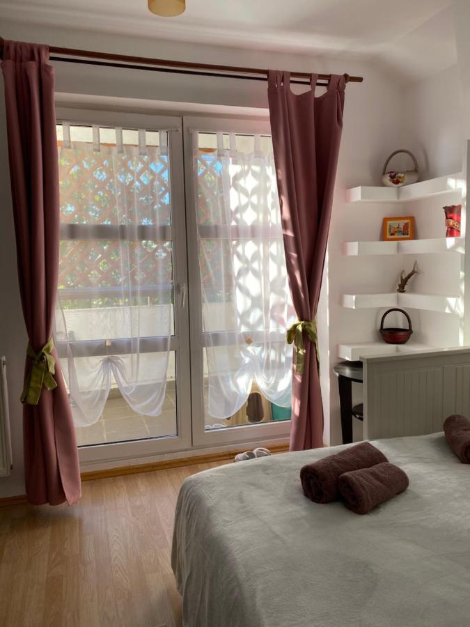Apartament Raluca - Self Check-In ティミショアラ エクステリア 写真