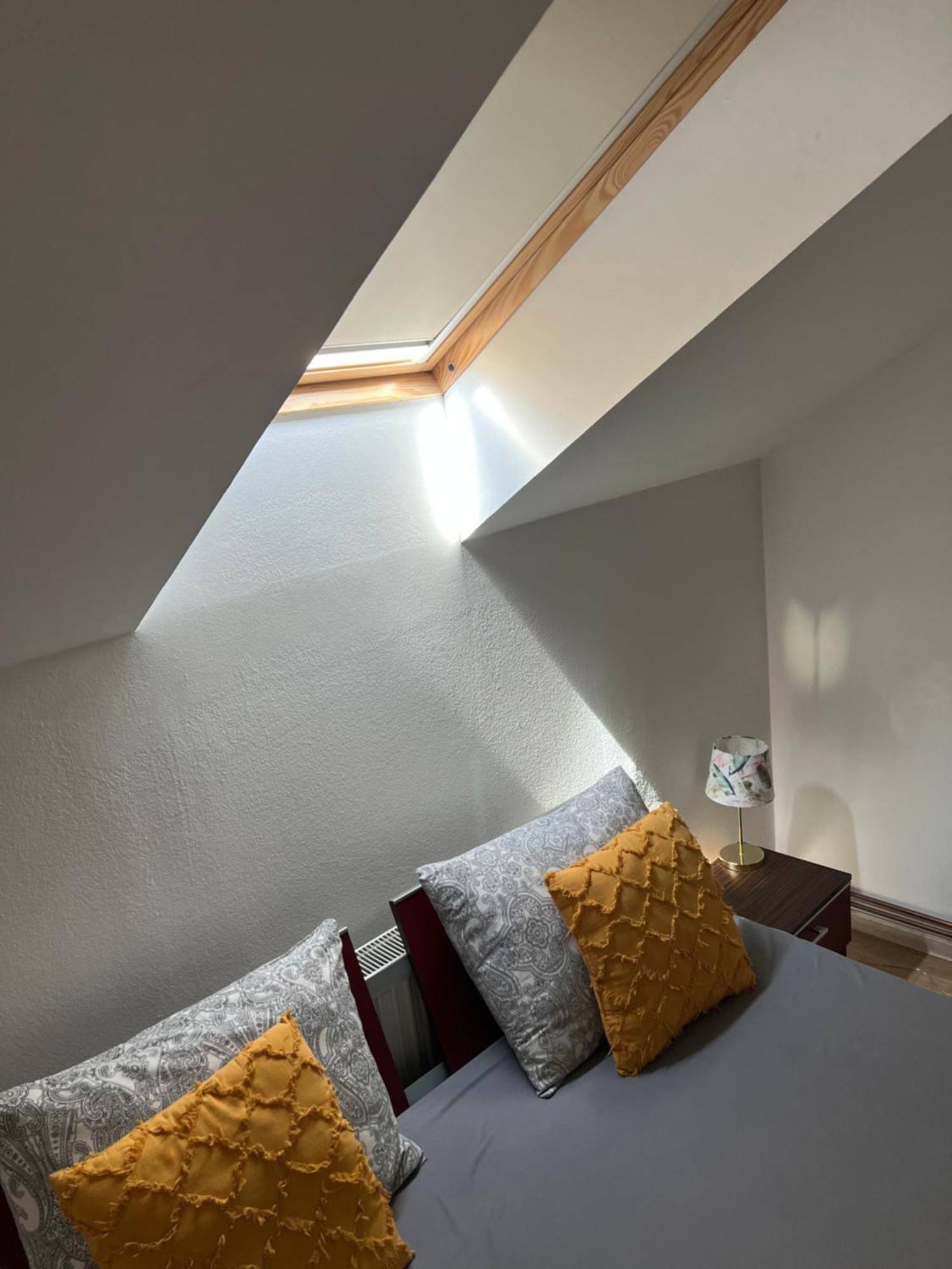 Apartament Raluca - Self Check-In ティミショアラ エクステリア 写真
